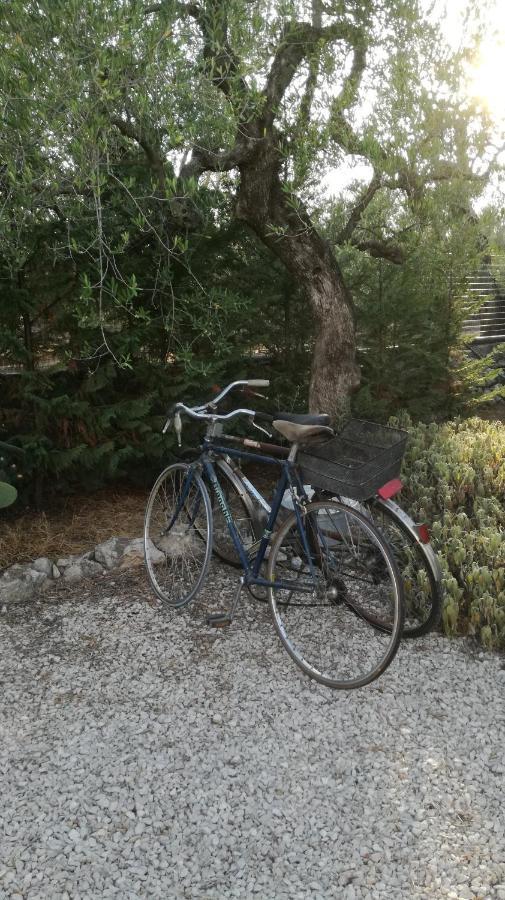 B&B Villa Mediterranee Con Parking Space Trani Exterior foto