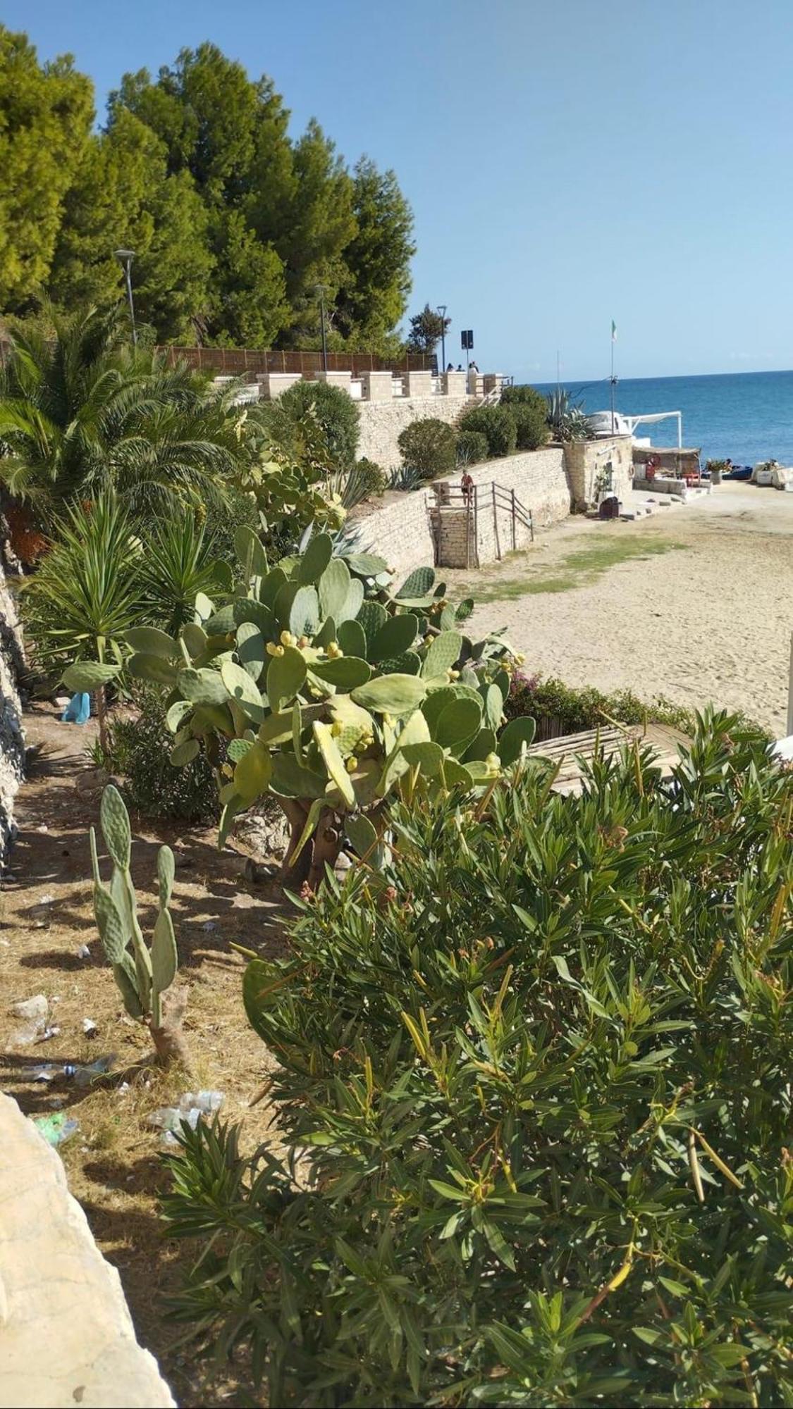 B&B Villa Mediterranee Con Parking Space Trani Exterior foto