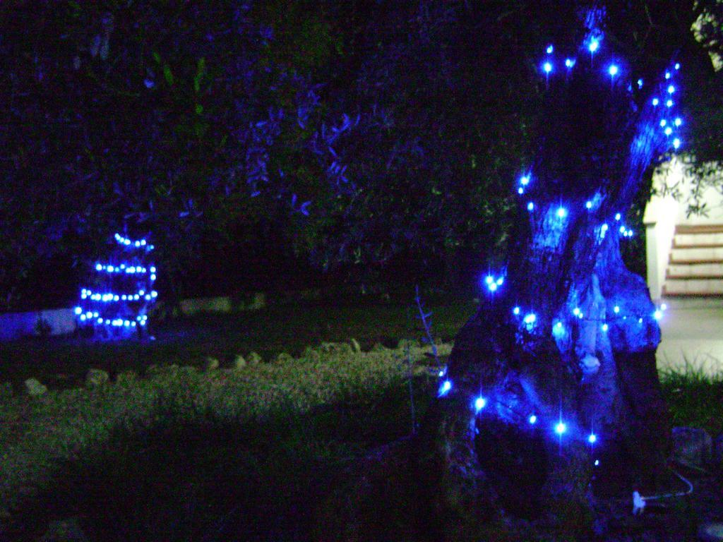 B&B Villa Mediterranee Con Parking Space Trani Cameră foto